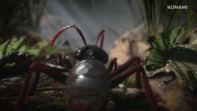 атака гигантских муравьев